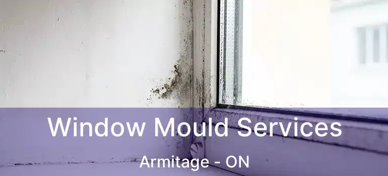  Window Mould Services Armitage - ON