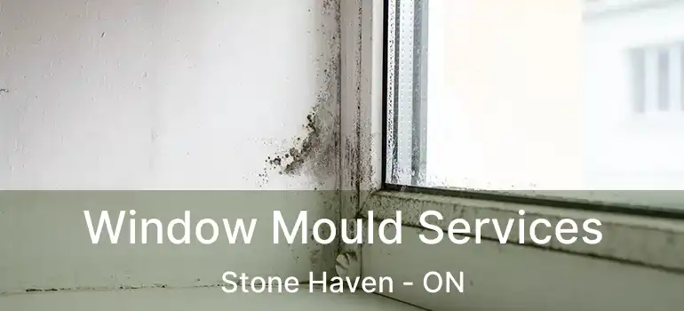 Window Mould Services Stone Haven - ON